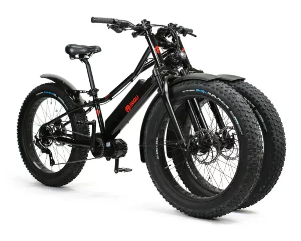 VTT à Assistance Electrique ERUNGU – Location
