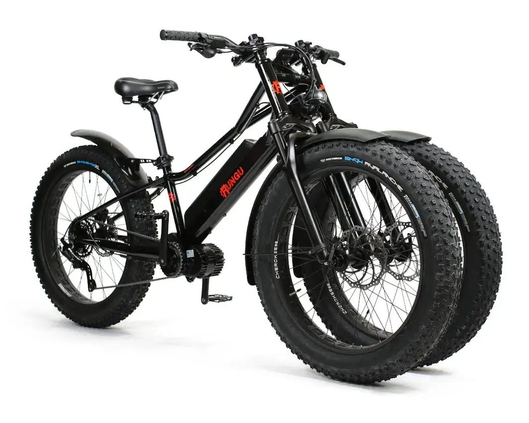 Catalog Image