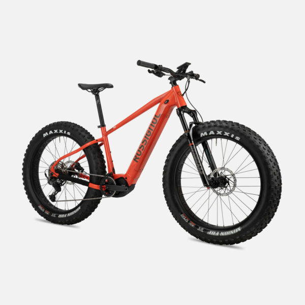 VTT à Assistance Electrique EFAT ROSSIGNOL  Taille M – Location